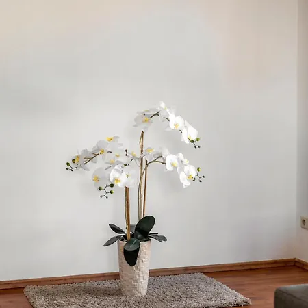 Apartment Meyer *