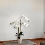 Meyer Apartmán