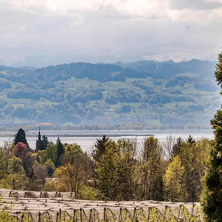 Meyer * Lindau (Bodensee)