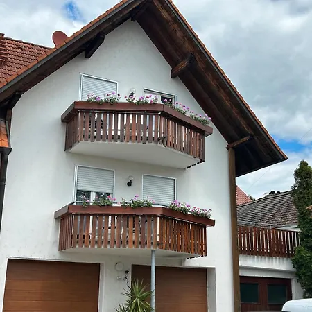 Meyer * Lindau (Bodensee)